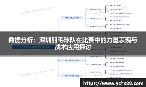 数据分析：深圳羽毛球队在比赛中的力量表现与战术应用探讨