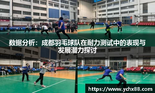 数据分析：成都羽毛球队在耐力测试中的表现与发展潜力探讨