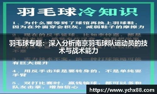羽毛球专题：深入分析南京羽毛球队运动员的技术与战术能力