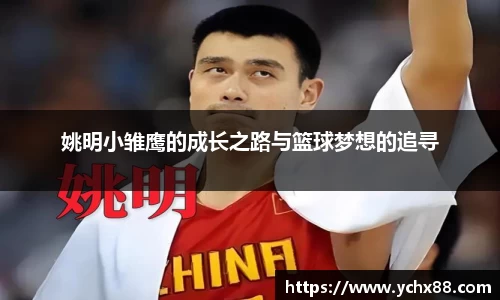 姚明小雏鹰的成长之路与篮球梦想的追寻