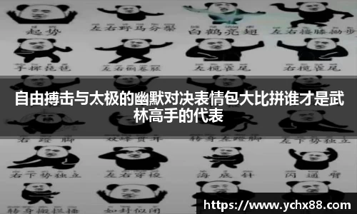 自由搏击与太极的幽默对决表情包大比拼谁才是武林高手的代表